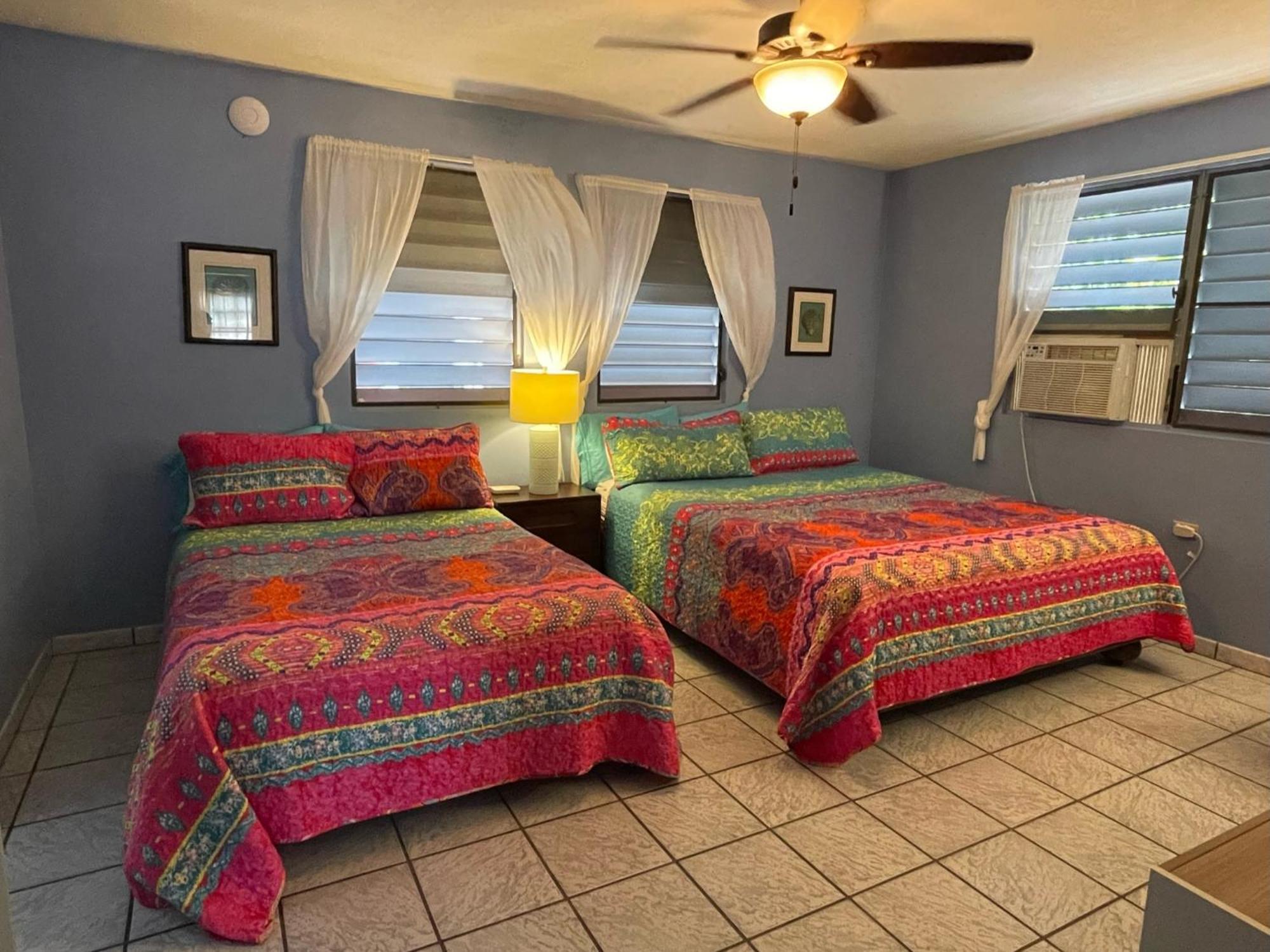 Esperanza Inn Guesthouse (Adults Only) Vieques Cameră foto