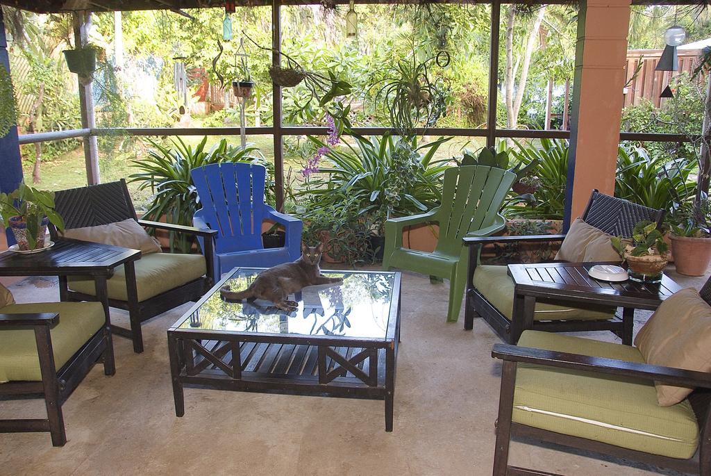 Esperanza Inn Guesthouse (Adults Only) Vieques Exterior foto